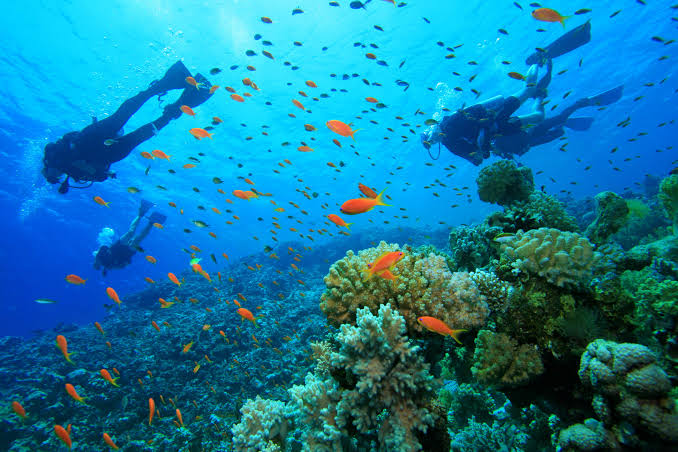 Snorkeling